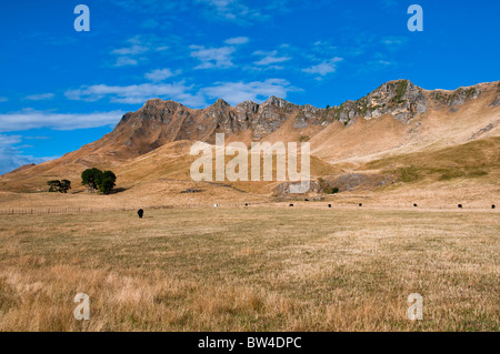 Te Mata Peek,Tukituki Valley,Fiume,Te Mata Rd,Colline di Kaokaoroa, gamme Raukawa,Hawke's Bay,Havelock North, Nuova Zelanda Foto Stock