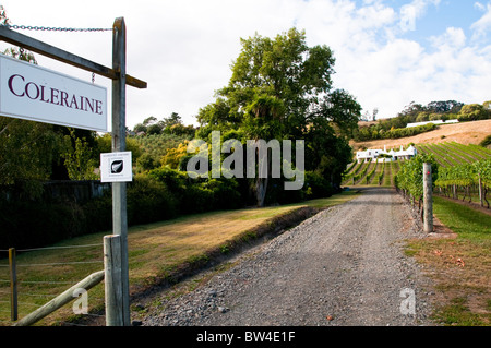 Coleraine Vigna,Hawke's Bay,Te Mata Road,Havelock North, Nuova Zelanda Foto Stock