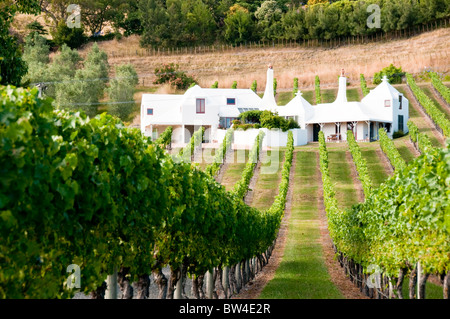 Coleraine Vigna,Hawke's Bay,Te Mata Road,Havelock North, Nuova Zelanda Foto Stock