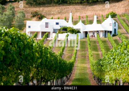 Coleraine Vigna,Hawke's Bay,Te Mata Road,Havelock North, Nuova Zelanda Foto Stock