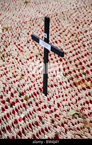 Papaveri e croci, campo di ricordo, l'Abbazia di Westminster, Londra, Regno Unito. Foto Stock