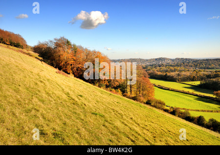 North Downs vicino a Dorking , Surrey Foto Stock