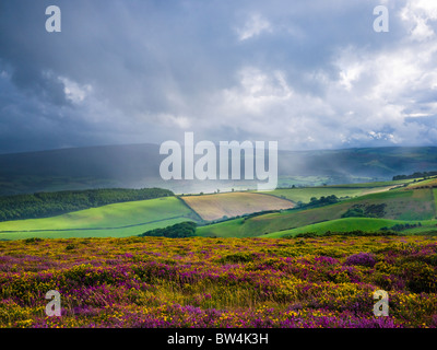 Il rainstorming estivo sul Parco Nazionale di Exmoor visto da North Hill, Selworthy, Somerset, Inghilterra. Foto Stock