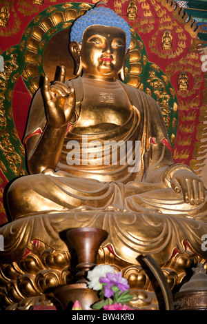 Un Buddha d'oro, il Tempio Shaolin, luogo di nascita del Kung Fu, Song Shan, vicino a Zhengzhou, nella provincia di Henan, Dengfeng, Cina Foto Stock