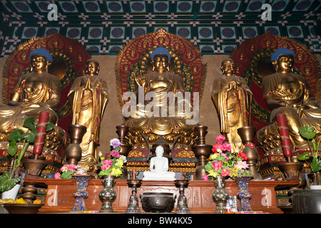 Un Buddha d'oro, il Tempio Shaolin, luogo di nascita del Kung Fu, Song Shan, vicino a Zhengzhou, nella provincia di Henan, Dengfeng, Cina Foto Stock