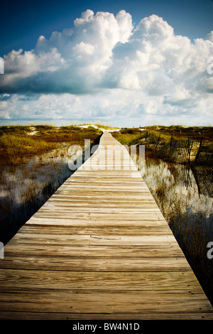 Il Boardwalk oltre zona umida, che conduce ad una spiaggia. Costa del Golfo, Florida. Foto Stock