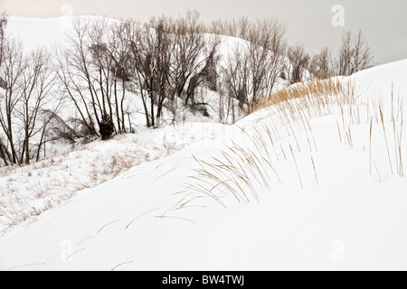 Warren Dunes State Park, Michigan in inverno. Foto Stock