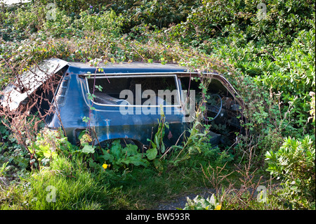Abbandonato incolto Austin Allegro auto in Condino Devon UK Foto Stock