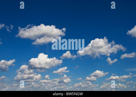 Nuvole bianche contro il profondo blu del cielo Foto Stock