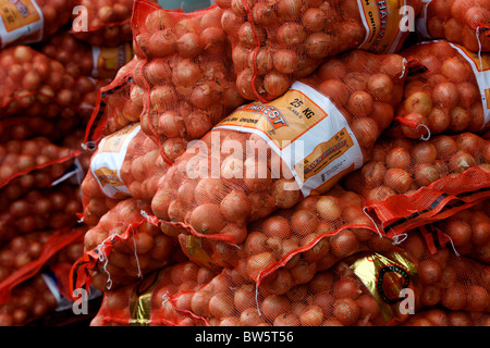 I sacchi riempiti con Golden Harvest inglese cipolle, Brighton East Sussex, Regno Unito. Foto Stock