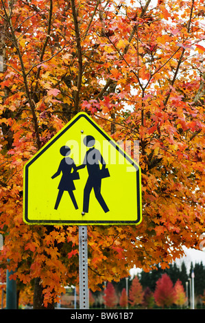 Una luminosa attraversamento scuola segno è circondato da alberi e visualizzazione di magnifici colori autunnali. Foto Stock