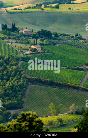 La casa del famoso Brunello di Montalcino, le dolci colline che circondano il Brunello di Montalcino, Toscana Italia Foto Stock