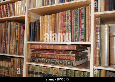 Libri su un ripiano della libreria Foto Stock