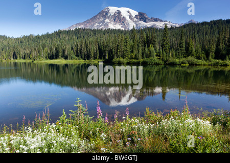 Mount Rainier riflessa nel lago di riflessione, Washington, Stati Uniti d'America Foto Stock