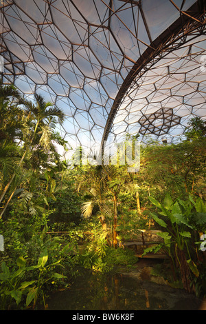 Una vista all'interno del biome tropicale all'Eden Project in Cornovaglia, UK. Foto Stock