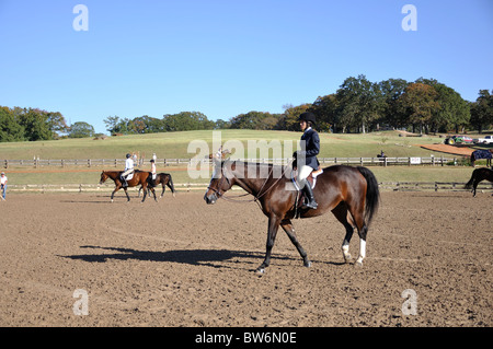 Competizione equestre tra la gioventù, Tyler, Texas, Stati Uniti d'America Foto Stock