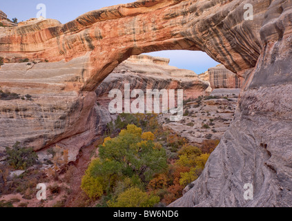 Sipapu Bridge, ponti monumento nazionale, Utah Foto Stock