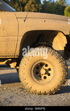 Pneumatico ruota anteriore di un fangoso 4WD pickup truck, la trazione a quattro ruote motrici il veicolo in close up, girato in giallo a basso angolo della luce della sera. Foto Stock