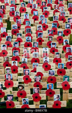 Ricordo la domenica. Un area dedicata ai morti dalla guerra in Afganistan di fronte all'Abbazia di Westminster, Londra. Foto Stock