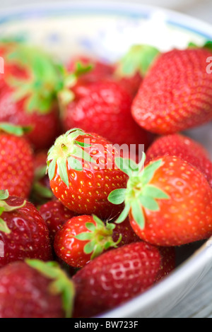 fragole Foto Stock