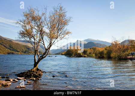 Vista lungo Llyn Padarn a Mount Snowdon nel Parco Nazionale di Snowdonia. Padarn Country Park, Llanberis, Gwynedd, Galles del Nord, Regno Unito. Foto Stock