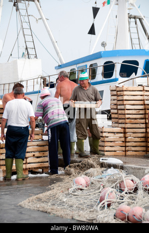 Caricamento dei pescatori nelle casse di pesce fresco catturato da una barca fuori Porta Garibaldi sul Delta del Po, Emilia Romagna, Italia Foto Stock