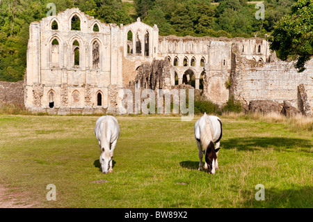 Rievaulx Abbey sulla North Yorkshire Moors vicino a Helmsley Foto Stock