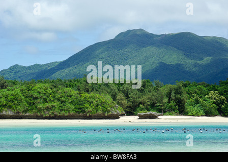 Vista sulla baia di Kabira per Kojima Isola, Ishigaki, Okinawa, in Giappone Foto Stock