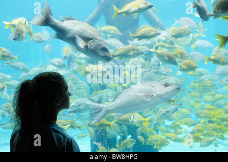 Ragazza la visione di pesce in uno dei tanti grandi vasche acquari all'Atlantis Resort Bahamas Foto Stock