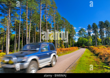Veicolo passando attraverso una panoramica strada di campagna nel cuore della New Forest, Hampshire, Regno Unito Foto Stock