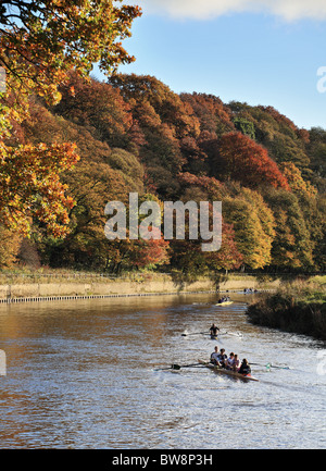Canottaggio sul fiume usura in Durham City, England, Regno Unito Foto Stock