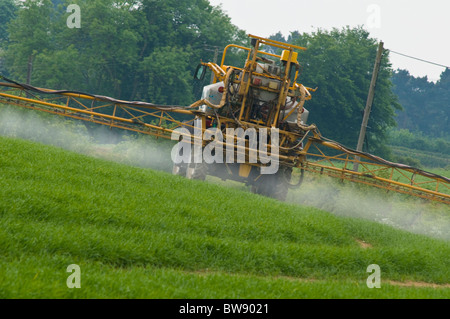 Trattore agricolo la spruzzatura di campo verde di colture Foto Stock