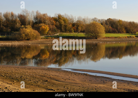 Draycote acqua con un basso livello di acqua in autunno, Warwickshire, Regno Unito Foto Stock