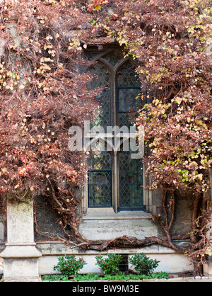 Lincoln College Quad anteriore closeup dettaglio Foto Stock