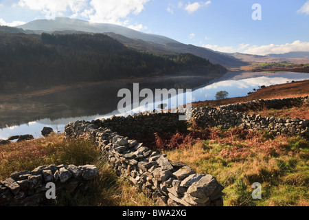 Capel Curig, Conwy, Galles del Nord, Regno Unito. Pecore pieghe da Llynnau Mymbyr lago sottostante Moel Siabod nel Parco Nazionale di Snowdonia in autunno Foto Stock