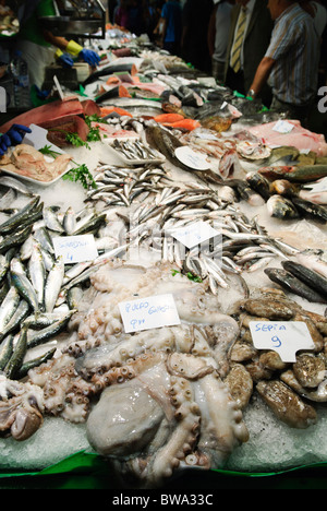 Polpi, calamari, seppie, sardine, acciughe fresche e altri pesci su pescivendoli stallo in mercato La Boqueria a Barcellona, Spagna Foto Stock