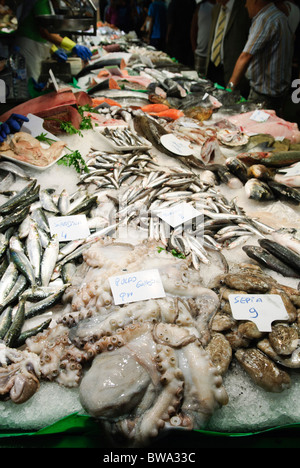 Polpo, calamari, seppie, sardine, acciughe fresche e altri pesci nella stalla dei pescivendoli al mercato la Boqueria di Barcellona, Spagna Foto Stock