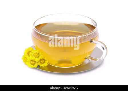 Huflattich Tee - tea Coltsfoot 01 Foto Stock