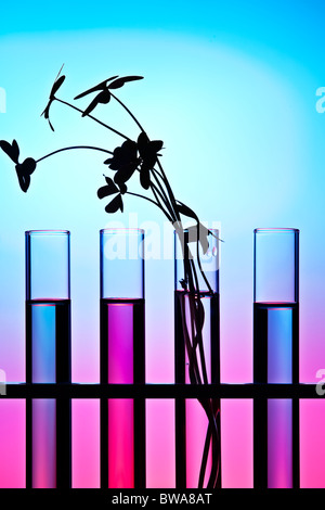 Fiori e piante in tubi di prova contro uno sfondo colorato Foto Stock