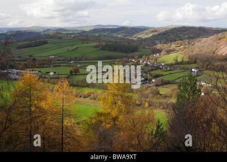 Comune Llynclys Shropshire Wildlife Trust Riserva Naturale, sui confini di Shropshire, Inghilterra e Montgomeryshire, Galles Foto Stock