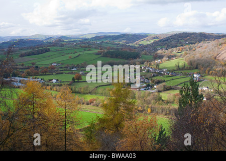 Comune Llynclys Shropshire Wildlife Trust Riserva Naturale, sui confini di Shropshire, Inghilterra e Montgomeryshire, Galles Foto Stock