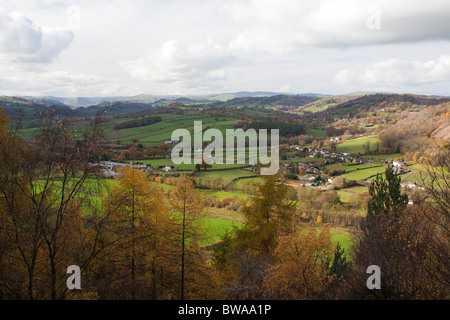 Comune Llynclys Shropshire Wildlife Trust Riserva Naturale, sui confini di Shropshire, Inghilterra e Montgomeryshire, Galles Foto Stock