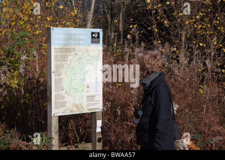 Comune Llynclys Shropshire Wildlife Trust Riserva Naturale, sui confini di Shropshire, Inghilterra e Montgomeryshire, Galles Foto Stock