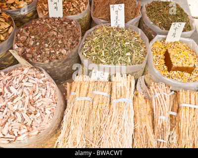 Corteccia, fiori e ginseng per la vendita, sul mercato Gyeongdong, medicina mercato, Seoul, Corea del Sud Foto Stock