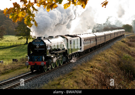 Tornado treno a vapore che passa attraverso le bave Country Park, Bury, Lancashire Foto Stock