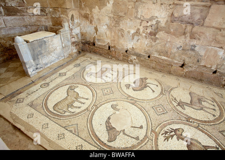 Mosaici nella chiesa bizantina, Petra, Giordania Foto Stock