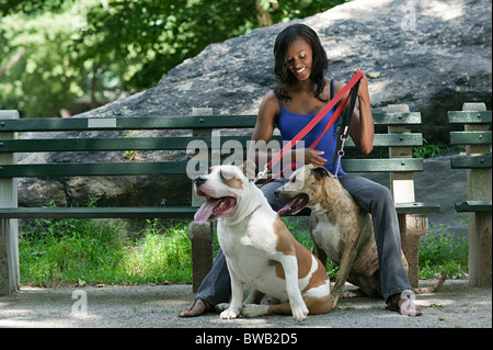 Donna seduta su una panchina nel parco con i suoi due cani Foto Stock