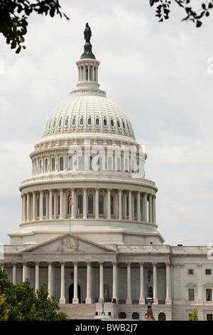 Stati Uniti Campidoglio, Washington DC, Stati Uniti d'America Foto Stock