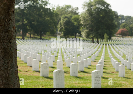 Al Cimitero Nazionale di Arlington, Virginia, Stati Uniti d'America Foto Stock