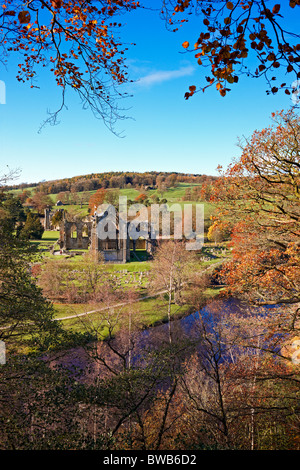 Guardando verso il basso sulle rovine di Bolton Priory dal bosco a piedi attraverso Bolton Abbey boschi, North Yorkshire, autunno Foto Stock